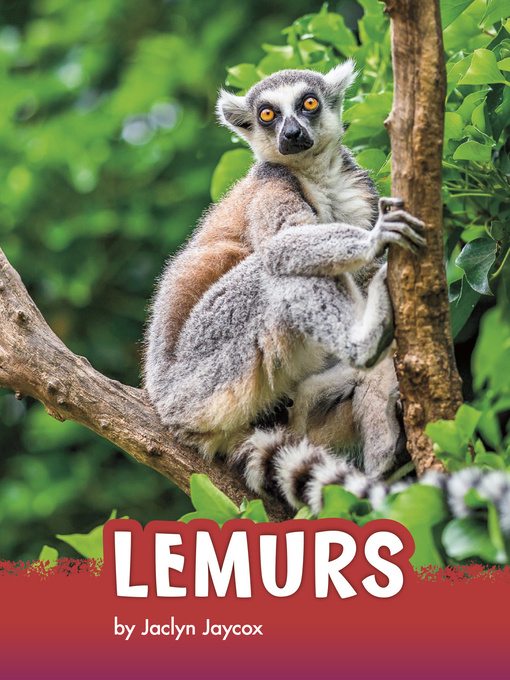 Title details for Lemurs by Jaclyn Jaycox - Available